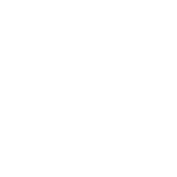 Médaillé d'or des Worldskills Belgium